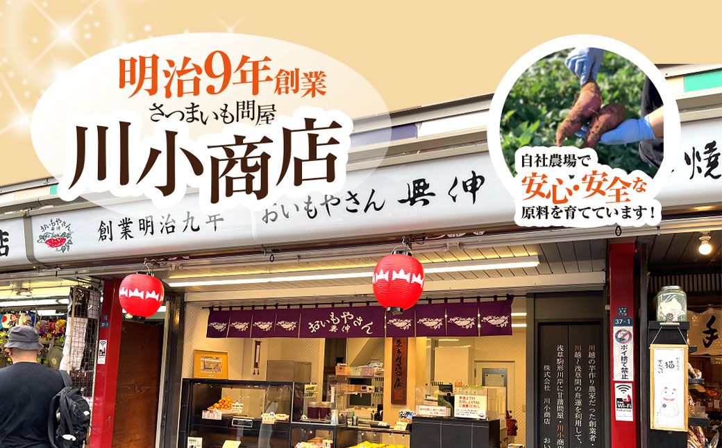 【2025年10月1日より順次発送！】おいもやさんお楽しみセット 香取市産さつまいも使用 大学芋 と スイートポテトの詰め合わせ KTRBD001 / スイーツ さつまいも サツマイモ 芋 専門店 おやつ デザート カワコファーム おいもやさん興伸 千葉県 香取市