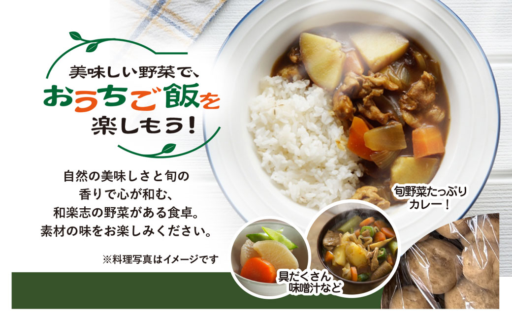 栽培期間中 農薬不使用　季節のお野菜セット KTRCP001 / 野菜 やさい 旬 季節 詰合せ お野菜セット 9品目 3～5人家族用 健康 和楽志 わがくし 千葉県 香取市