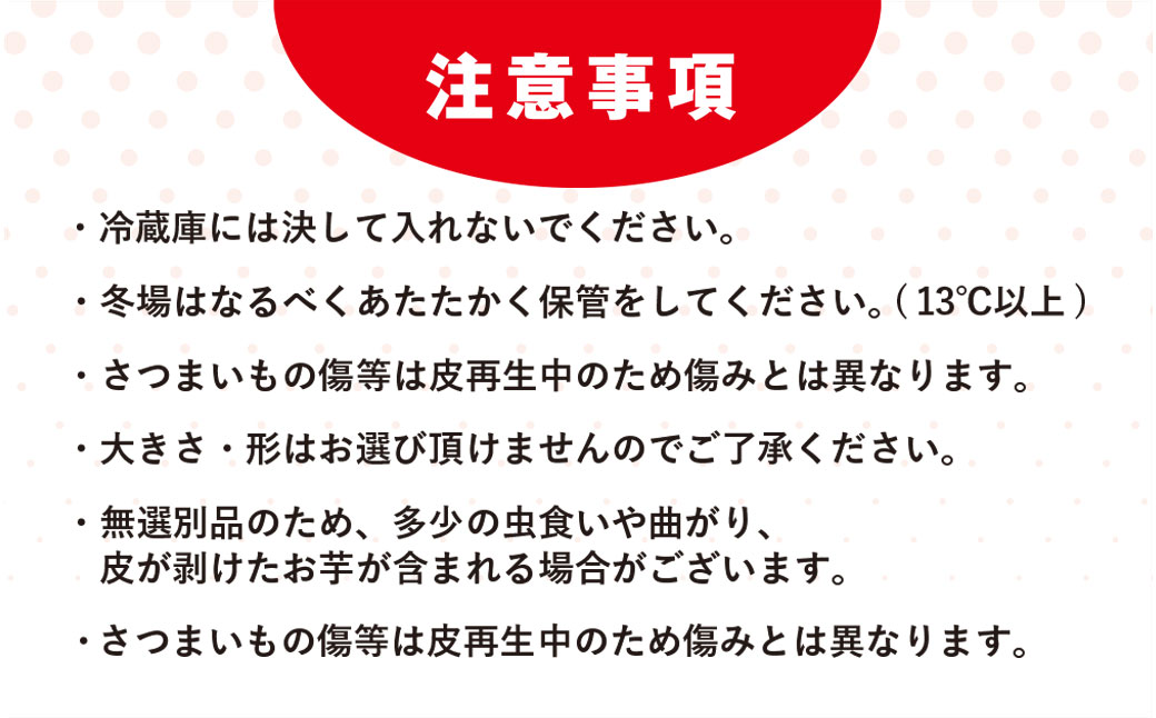 【訳あり】香取市産 さつまいも 紅はるか 約10kg×1 焼き芋やスイートポテトにどうぞ KTRW003 / 芋 サツマイモ さつま芋 紅はるか べにはるか ベニハルカ 焼き芋 焼芋 焼いも お芋 おいも いも 生芋