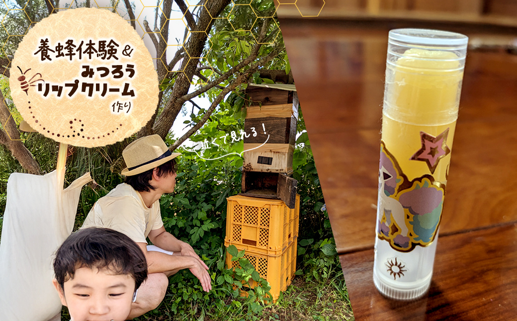 養蜂体験＆みつろうリップクリーム作り ふるさと納税 養蜂 みつろう ミツバチ 蜜蜂 無添加 体験 リップクリーム 千葉県 香取市 送料無料 SOR002
