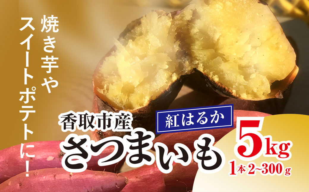 香取市産 さつまいも 紅はるか 約5kg 1本2〜300g 焼き芋やスイートポテトにどうぞ KTRW001 / 芋 サツマイモ さつま芋 べにはるか ベニハルカ 焼き芋 焼芋 焼いも お芋 おいも いも 生芋