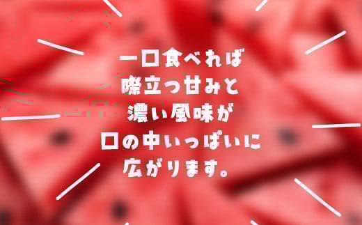レッドサンスイカ（約8kg～約9.8kg×1玉） SMAF001