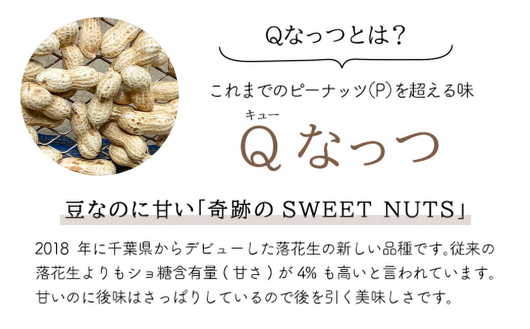 【先行受付・9月上旬より順次発送！】【訳あり】Qナッツ 生落花生 2kg ／ふるさと納税 落花生 生 生落花生 Qナッツ Qなっつ 新品種 希少 訳あり 訳アリ 家庭用 お徳用 旬 季節限定 あっさり 香ばしい 甘い 塩ゆで おやつ おつまみ 千葉県 山武市 SMAH016