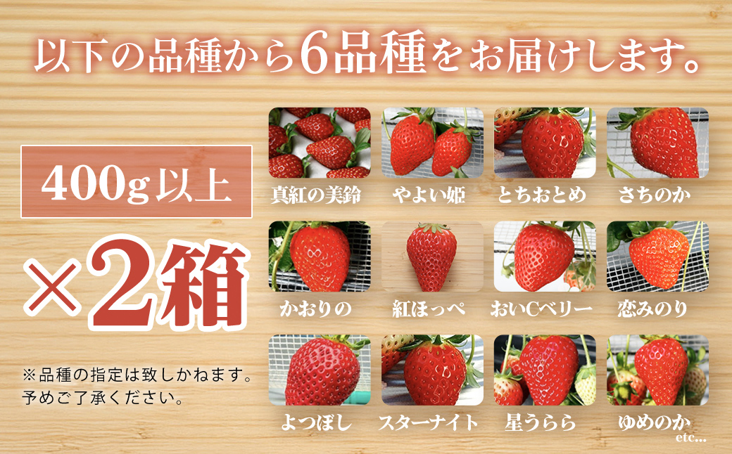 【1月から発送】自宅でいちご狩り気分! 完熟いちご6品種食べ比べセット 800g以上 ／いちご イチゴ 苺 果物 くだもの フルーツ 旬のくだもの 季節のフルーツ 食べ比べ 詰め合わせ セット 希少品種 千葉県 山武市 SMB002
