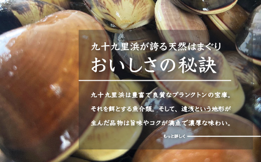 ＜１２ヶ月毎月届く定期便!＞九十九里浜産活天然はまぐりサイズお任せ2kg入り SMBB007