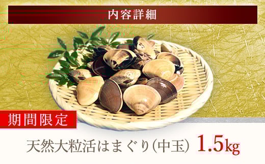 【千葉県ブランド認定】天然大粒活はまぐり（中玉）《1.5㎏》／ふるさと納税 はまぐり ハマグリ 蛤 貝類 魚介 海鮮 お吸い物 パスタ パエリア お歳暮 贈答 お祝い 千葉県 山武市 SMBO002