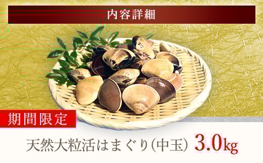 【千葉県ブランド認定】天然大粒活はまぐり（中玉）《3㎏》ギフトBOX付き／ふるさと納税 はまぐり ハマグリ 蛤 貝類 魚介 海鮮 お吸い物 パスタ パエリア お歳暮 贈答 お祝い 千葉県 山武市 SMBO005