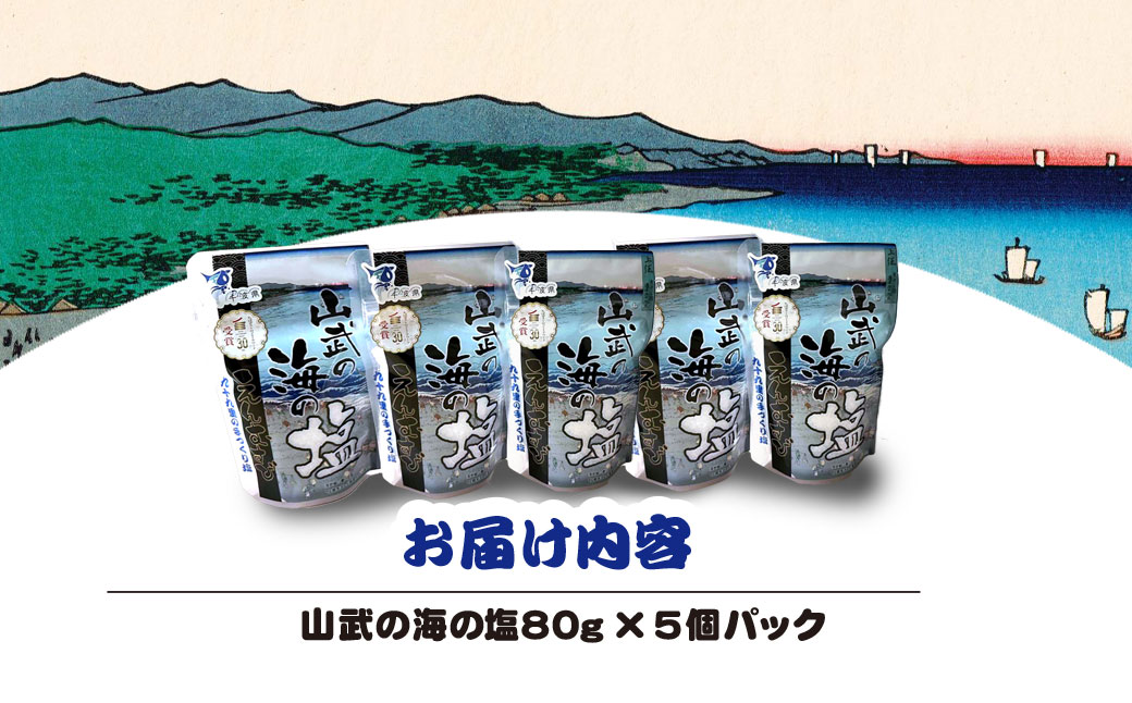 山武の海の塩８０ｇ×５個パック SMCI002 /しお シオ 塩 お塩 食塩 海塩 塩むすび つけ塩 千葉県 山武市 SDGs 手づくり塩