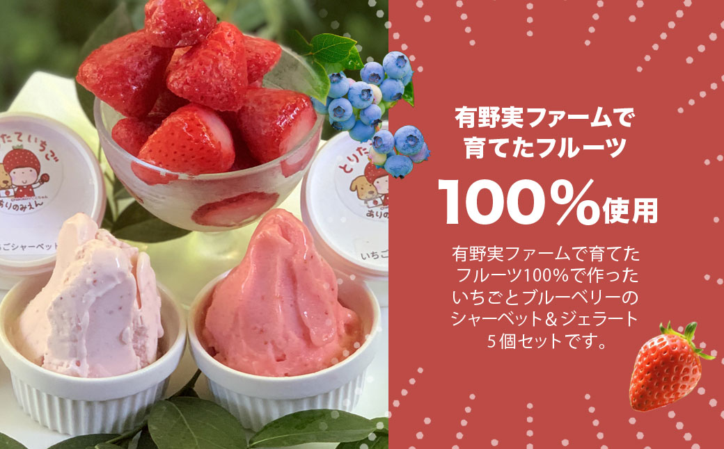 農園で育てたフルーツを100％使用! 有野実ファームのアイス詰め合わせセット SMN008