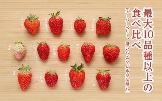 【12月上旬から発送】いちご狩りチケット（2名様分） いちご イチゴ 苺 イチゴ狩り いちご狩り体験 チケット 利用券 千葉県 山武市 SMQ001