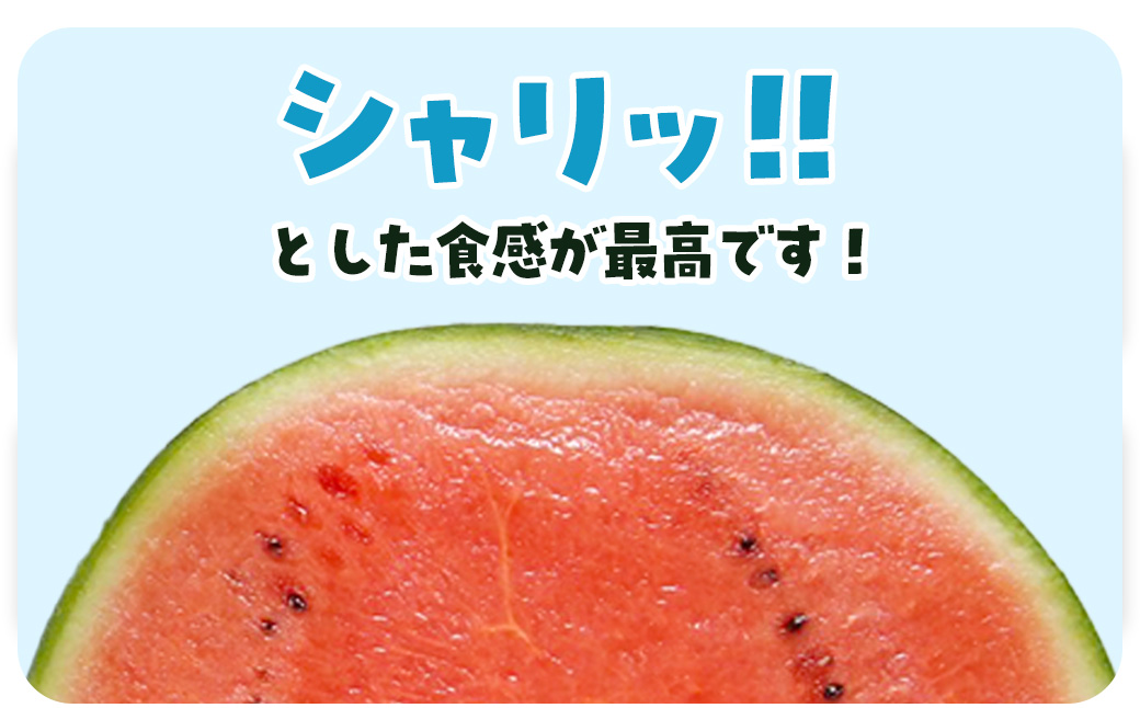 【先行予約・2027年6月下旬頃より発送】娘SUN 2玉 SMAF006