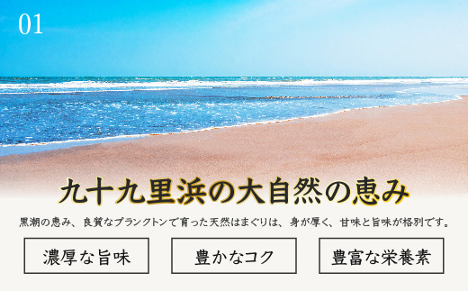＜6ヶ月毎月届く定期便!＞九十九里浜産活天然はまぐりサイズお任せ2kg入り SMBB006