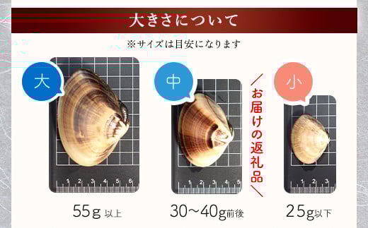 【千葉県ブランド認定】天然大粒活はまぐり（中玉）《1.5㎏》／ふるさと納税 はまぐり ハマグリ 蛤 貝類 魚介 海鮮 お吸い物 パスタ パエリア お歳暮 贈答 お祝い 千葉県 山武市 SMBO002