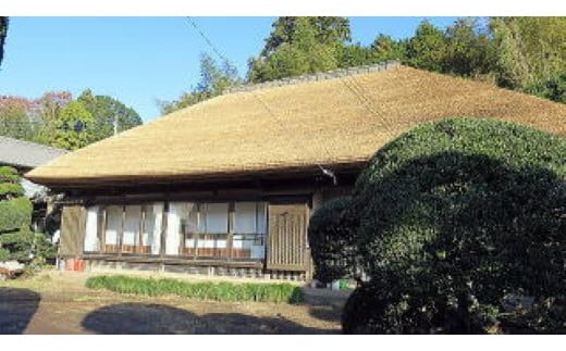 【2025年10月下旬発送開始】山武の柿 約8kg(24個入り×1箱)  SML001