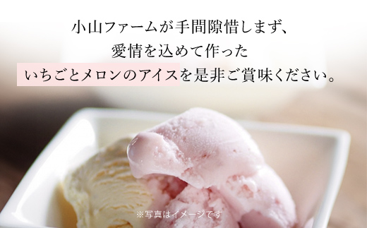 【希少品種】いちごとメロンのアイス 食べ比べ5個セット SMAN013