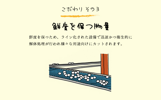 6ヶ月定期便 たまごやとよまる 煌黄30個 たまご 卵 玉子 料理 千葉県 山武市 SMAS008