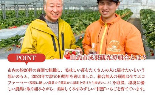 【1月から発送】山武市産 甘熟いちご 800g以上 おすすめの品種をお届け ／ふるさと納税 いちご イチゴ 苺 果物 くだもの フルーツ 旬のくだもの 季節のフルーツ 千葉県 山武市 SMB001