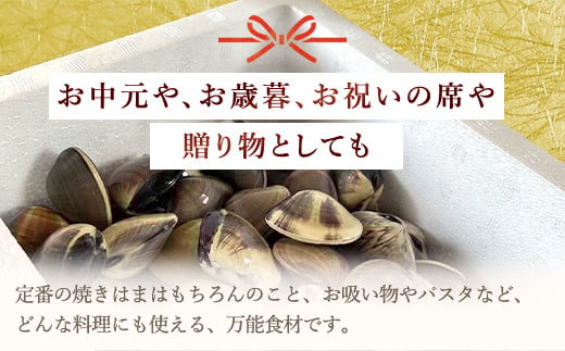 【千葉県ブランド認定】天然大粒活はまぐり（中玉）《1.5㎏》／ふるさと納税 はまぐり ハマグリ 蛤 貝類 魚介 海鮮 お吸い物 パスタ パエリア お歳暮 贈答 お祝い 千葉県 山武市 SMBO002
