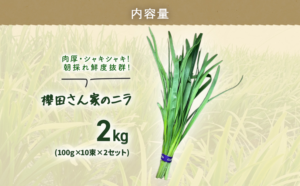 【先行予約】【12月から発送】肉厚・シャキシャキ! 朝採れ鮮度抜群! 櫻田さん家のニラ 2kg(100g×10束×2セット) SMCS002