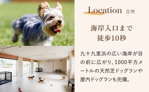 愛犬と泊まれる「＆WANグループホテル」1泊宿泊券（1頭・2名様）SMU002 ／ 宿泊券 ホテル 愛犬 犬 宿泊券 ホテル 愛犬 犬 宿泊券 ホテル 愛犬 犬 宿泊券 ホテル 愛犬 犬 宿泊券 ホテル 愛犬 犬 宿泊券 ホテル 愛犬 犬 宿泊券 ホテル 愛犬 犬 宿泊券 ホテル 愛犬 犬 宿泊券 ホテル 愛犬 犬 宿泊券 ホテル 愛犬 犬 ホテル 愛犬 犬 宿泊券 ホテル 愛犬 犬