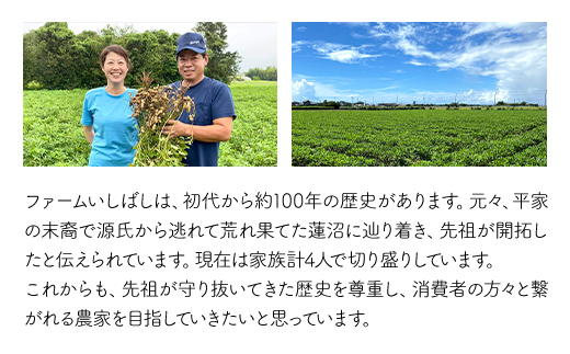 【先行受付・9月上旬より順次発送！】Qナッツ 生落花生 1.5kg ／ふるさと納税 落花生 生 生落花生 Qナッツ Qなっつ A品 新品種 希少 旬 季節限定 あっさり 香ばしい 甘い 塩ゆで おやつ おつまみ 千葉県 山武市 SMAH014