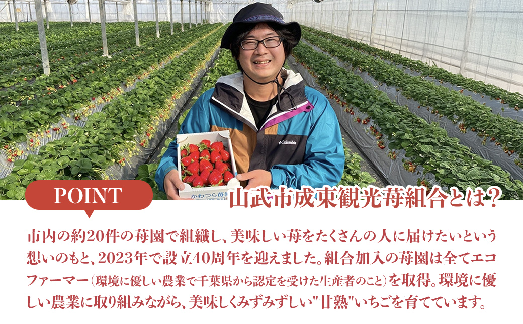 【1月から発送】自宅でいちご狩り気分! 完熟いちご6品種食べ比べセット 800g以上 ／いちご イチゴ 苺 果物 くだもの フルーツ 旬のくだもの 季節のフルーツ 食べ比べ 詰め合わせ セット 希少品種 千葉県 山武市 SMB002