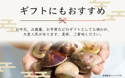 ＜6ヶ月毎月届く定期便!＞九十九里浜産活天然はまぐりサイズお任せ2kg入り SMBB006