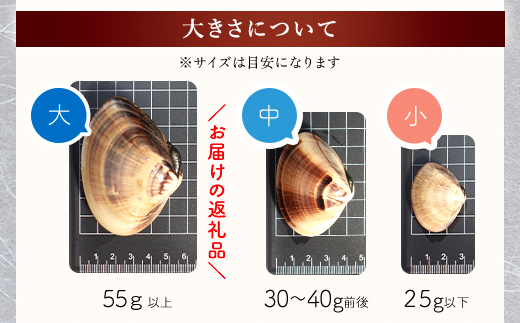 【千葉県ブランド認定】天然特大活はまぐり《1.5㎏》／ふるさと納税 はまぐり ハマグリ 蛤 貝類 魚介 海鮮 お吸い物 パスタ パエリア お歳暮 贈答 お祝い 千葉県 山武市 SMBO003