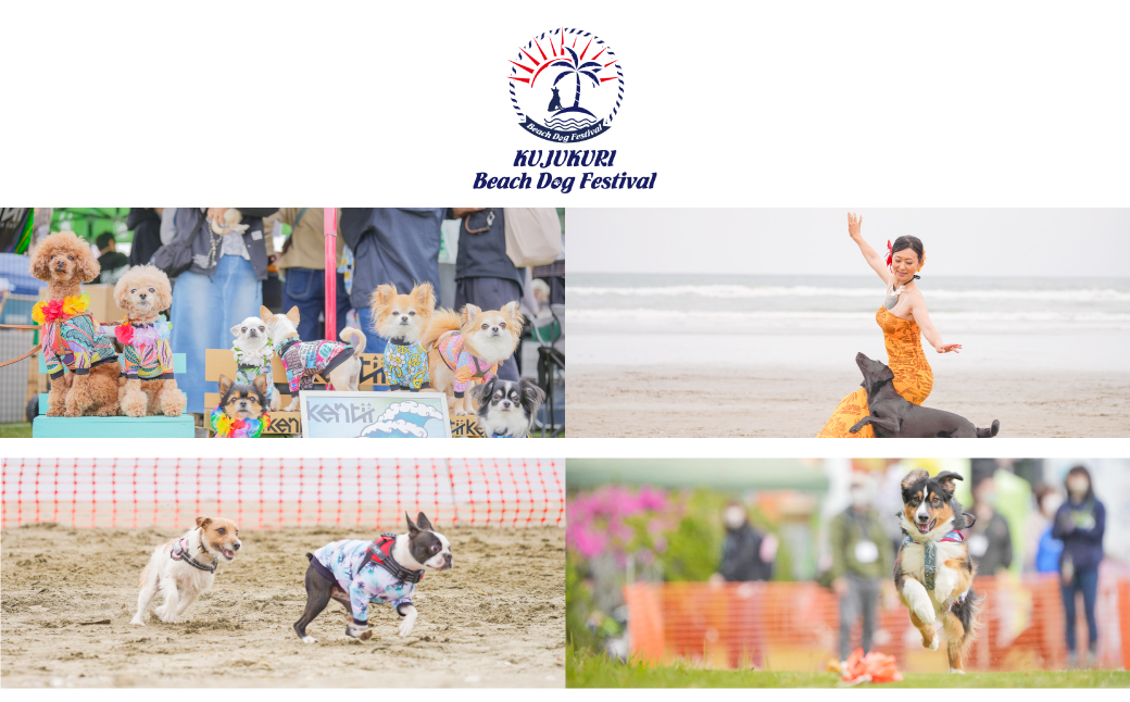 【九十九里ビーチドッグフェスティバル2025】3頭・1名様 ご招待チケット　ふるさと納税 チケット イベント ドッグフェス 愛犬 ワンちゃん beach dog fes ビーチ 砂浜 海岸 九十九里 千葉県 山武市 SMU005