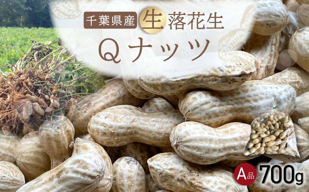 【先行受付・9月上旬より順次発送！】Qナッツ 生落花生 700g ／ふるさと納税 落花生 生 生落花生 Qナッツ Qなっつ A品 新品種 希少 旬 季節限定 あっさり 香ばしい 甘い 塩ゆで おやつ おつまみ 千葉県 山武市 SMAH013