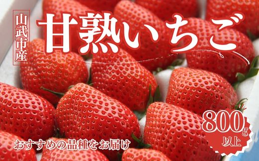 【1月から発送】山武市産 甘熟いちご 800g以上 おすすめの品種をお届け ／ふるさと納税 いちご イチゴ 苺 果物 くだもの フルーツ 旬のくだもの 季節のフルーツ 千葉県 山武市 SMB001