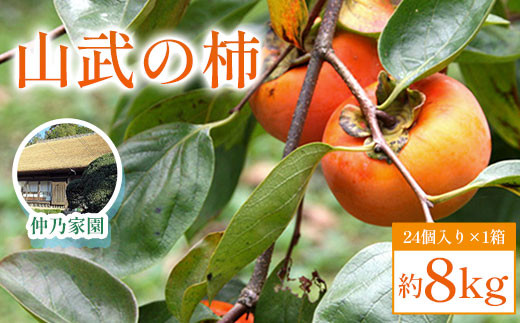 【2025年10月下旬発送開始】山武の柿 約8kg(24個入り×1箱)  SML001