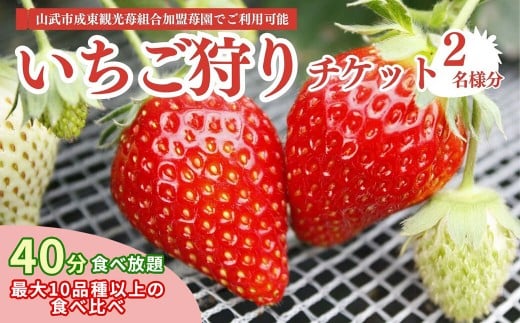 【12月上旬から発送】いちご狩りチケット（2名様分） いちご イチゴ 苺 イチゴ狩り いちご狩り体験 チケット 利用券 千葉県 山武市 SMQ001