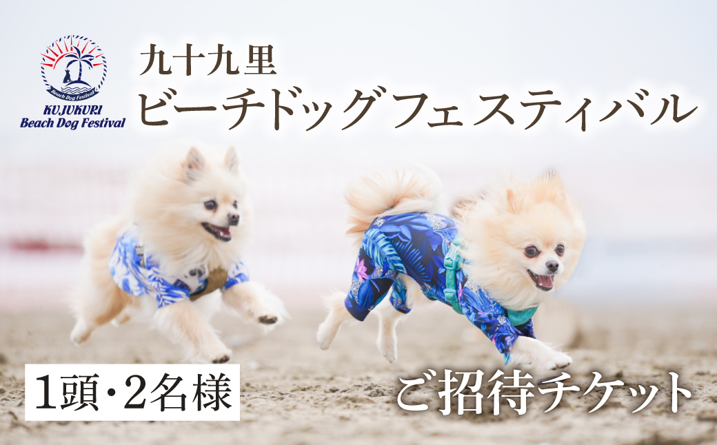【九十九里ビーチドッグフェスティバル2025】1頭・2名様 ご招待チケット ふるさと納税 チケット イベント ドッグフェス 愛犬 ワンちゃん beach dog fes ビーチ 砂浜 海岸 九十九里 千葉県 山武市 SMU006