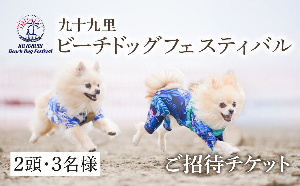 【九十九里ビーチドッグフェスティバル2025】2頭・3名様 ご招待チケット　ふるさと納税 チケット イベント ドッグフェス 愛犬 ワンちゃん beach dog fes ビーチ 砂浜 海岸 九十九里 千葉県 山武市 SMU010
