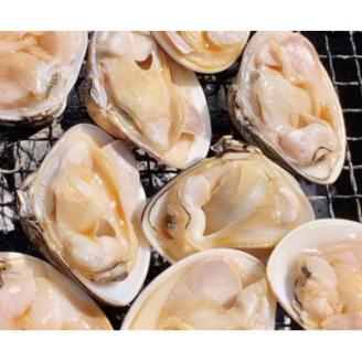 天然はまぐり約1.5kg (千葉県産)【配送不可地域：離島・沖縄県】