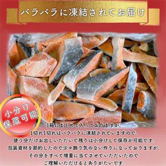 【訳あり】人気の海鮮お礼品 チリ産 定塩 塩銀鮭切り落とし(端材)約3kg【配送不可地域：離島】