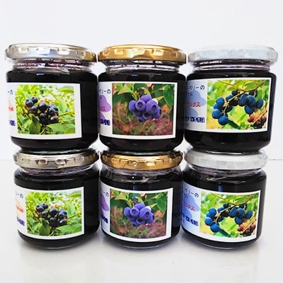 いすみ市新田野　福田農園のブルーベリージャム3種(各180g)×2(6本セット)