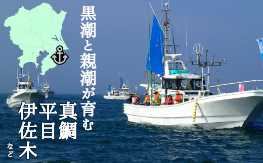 釣り船乗船券1名様(10,000円分)