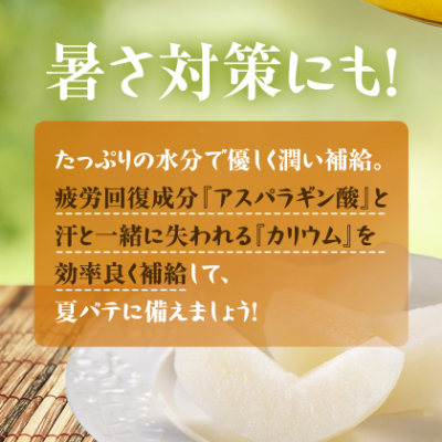 【2026年発送先行受付】いすみ市産幸水梨　約5kg(13～14個)