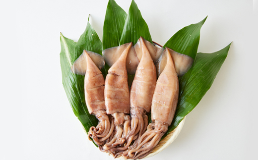 ぷりぷりいか姿焼き　4杯【配送不可地域：離島】