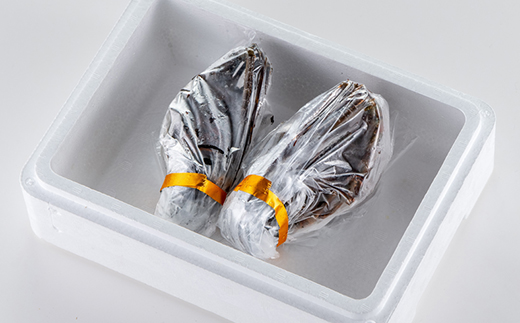 刺身用活〆冷凍伊勢海老420g【配送不可地域：離島】