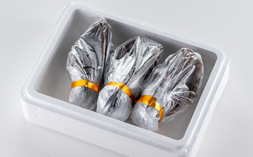 活〆冷凍伊勢海老600g【配送不可地域：離島】