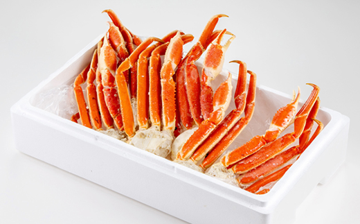 訳アリボイル本ズワイガニ肩 1.3kg【配送不可地域：離島】