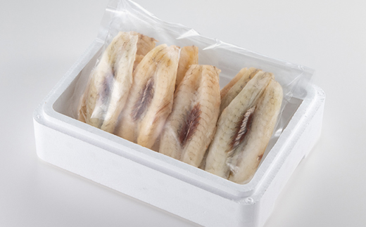 【訳アリ】真フグ一夜干し約500g【配送不可地域：離島】