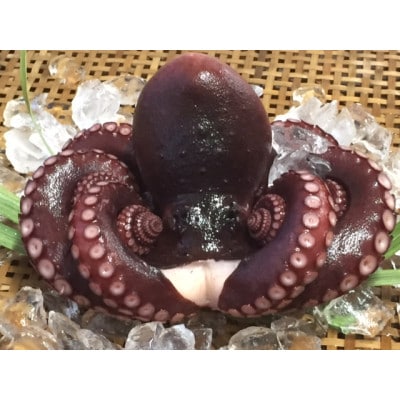 太東・大原産真蛸　茹でたこ足　800g【配送不可地域：離島】