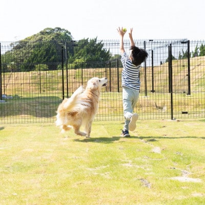 ISUMI Glamping Resort ＆ Spa SOLASの宿泊補助券 15,000円分