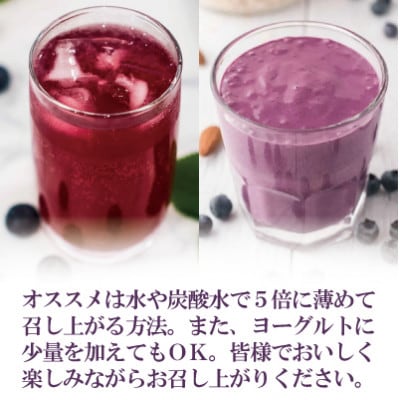 5倍に薄める酵素・まるごとブルーベリー【配送不可地域：離島】