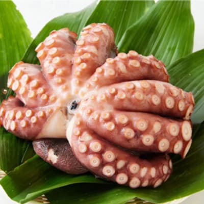 地だこ 1杯(2.0～2.3kg)【配送不可地域：離島】