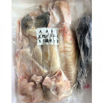 天然とらふぐちり鍋セット(600～700g)千葉県大原産【配送不可地域：離島】